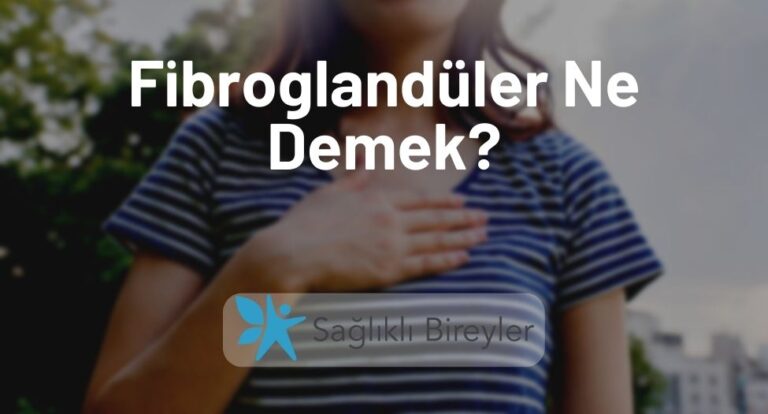 Fibroglandüler Ne Demek
