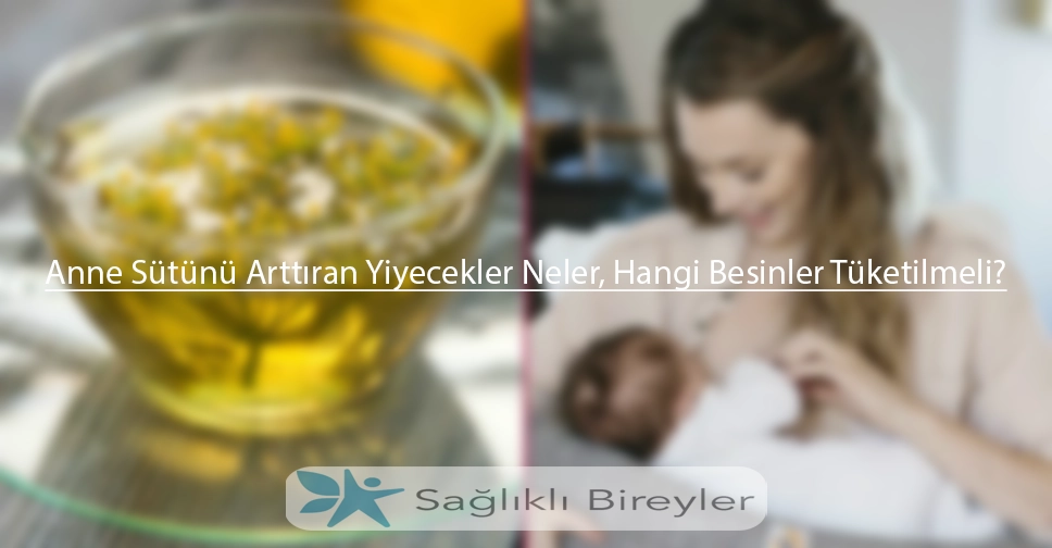 Anne Sütünü Arttıran Yiyecekler Neler, Hangi Besinler Tüketilmeli?