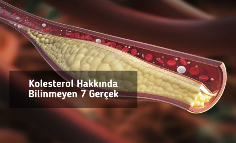 Kolesterol Hakkında Bilinmeyen 7 Gerçek