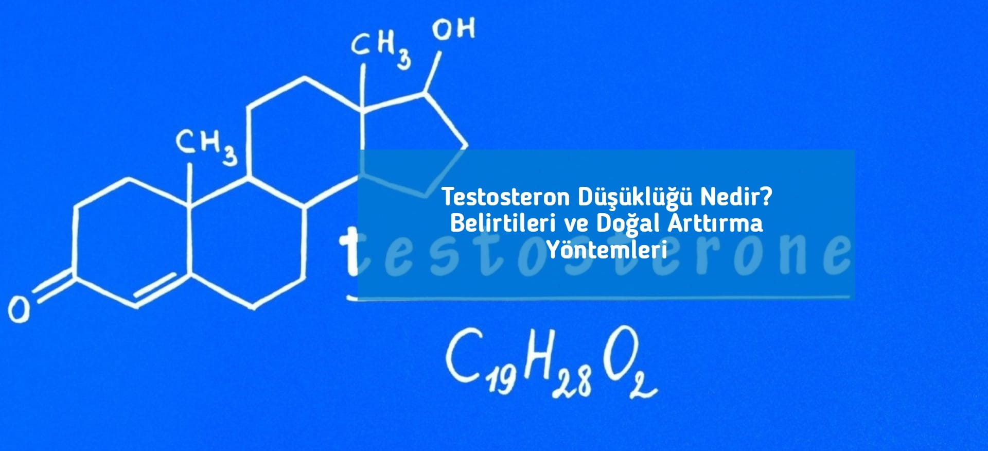 Testosteron Düşüklüğü Nedir? Belirtileri ve Doğal Arttırma Yöntemleri