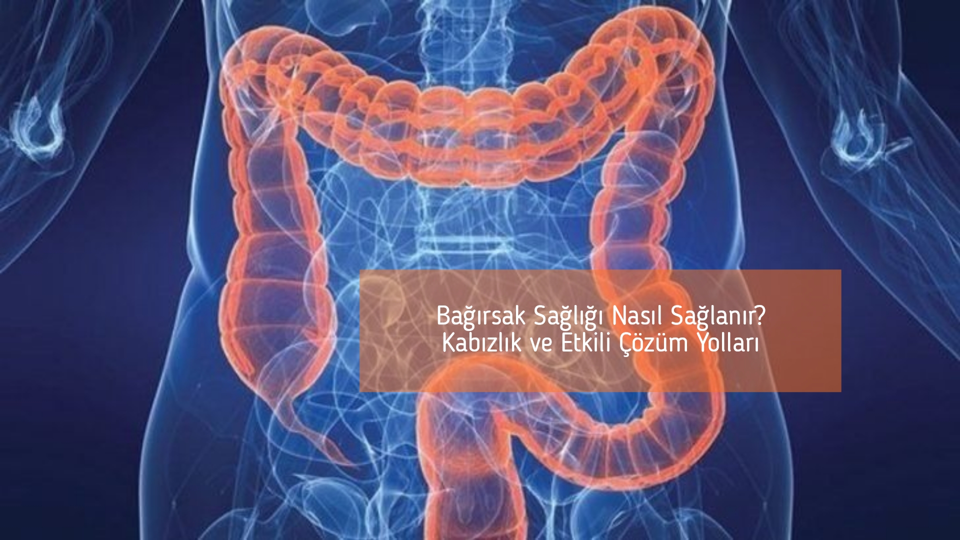 Bağırsak Sağlığı Nasıl Sağlanır? Kabızlık ve Etkili Çözüm Yolları